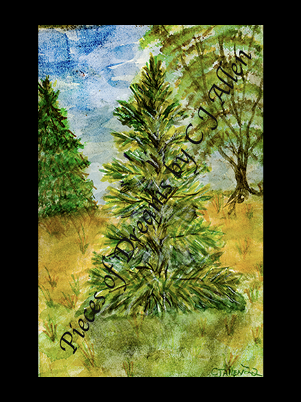 Lone Pine Dreams