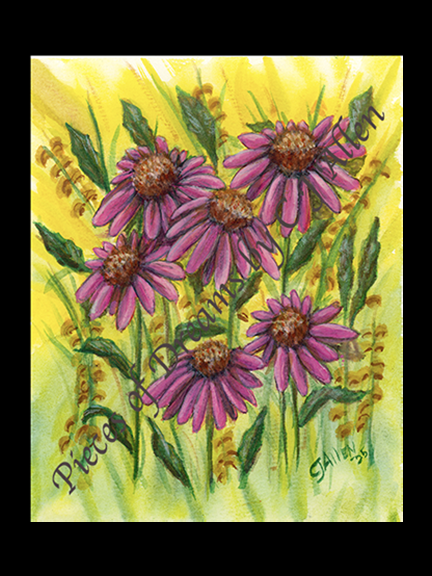 Cone Flower Blooms