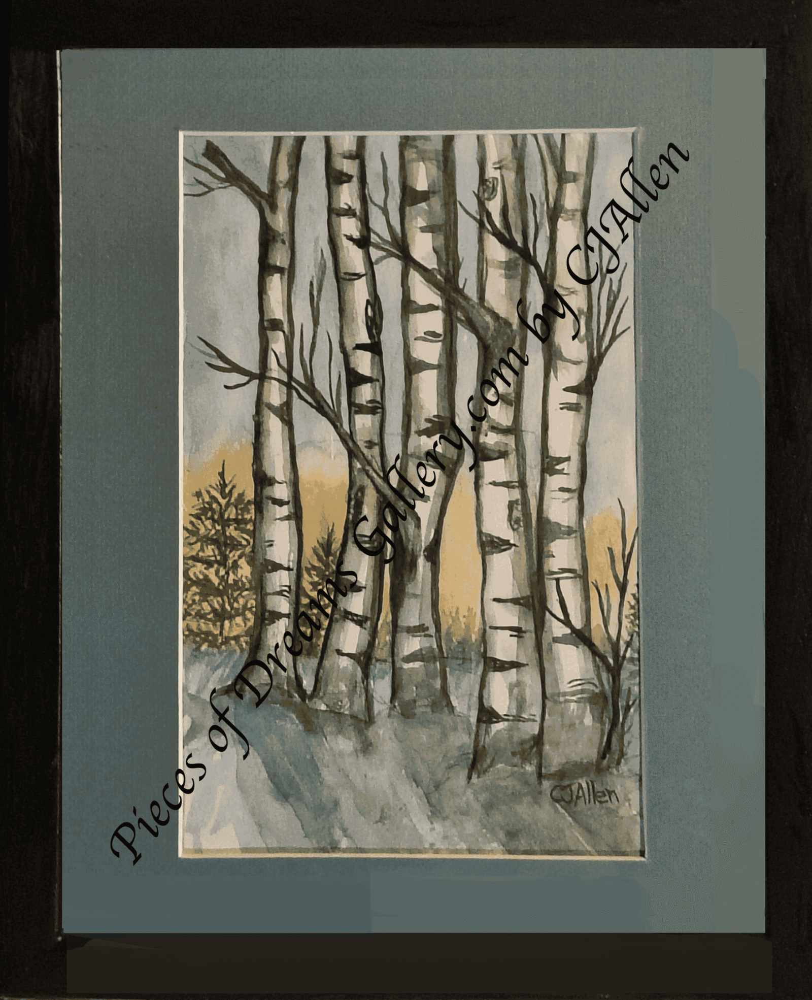 Birch Light Whispers