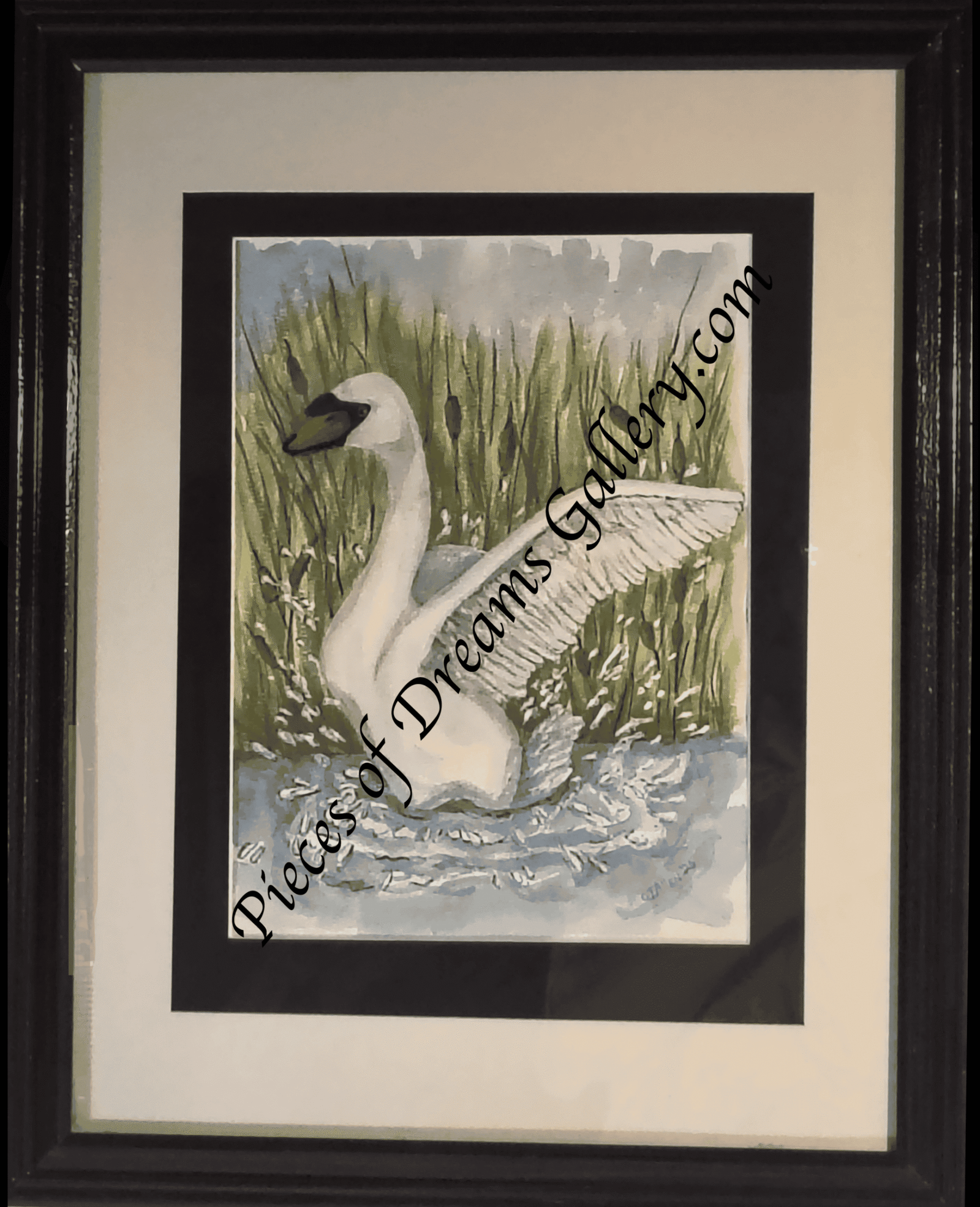 Call of the Gliding Swan