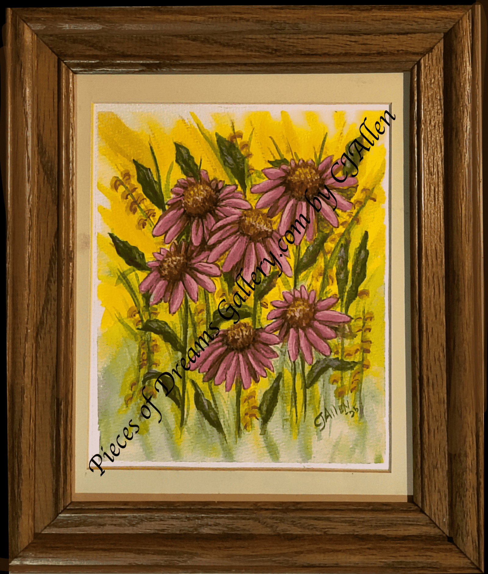 Cone Flower Blooms