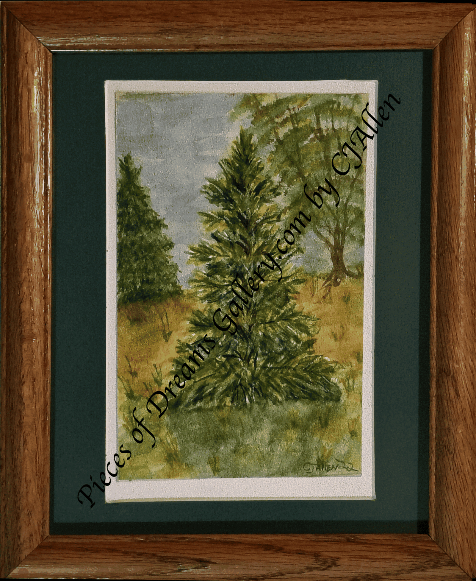 Lone Pine Dreams