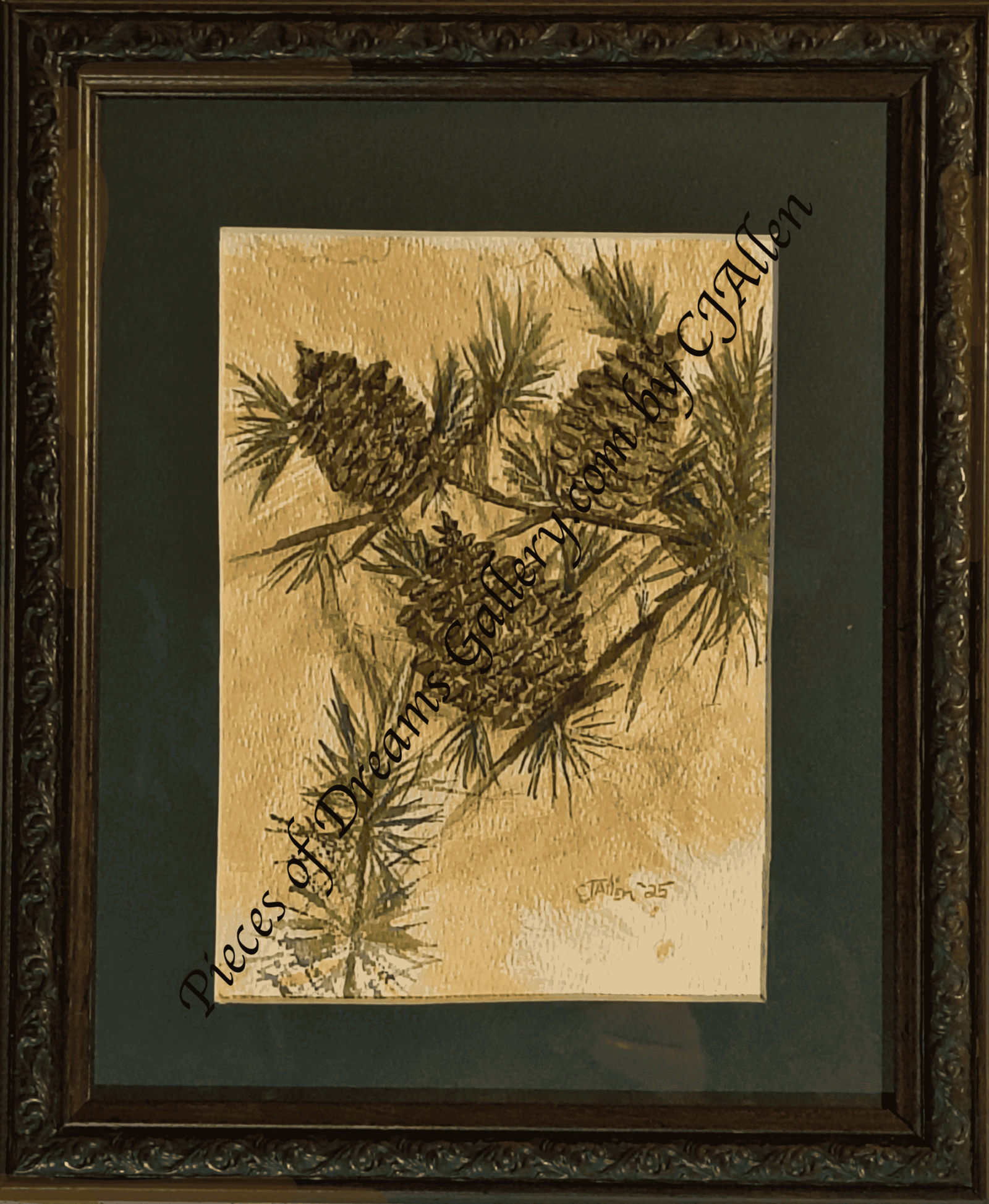 Pinecones Spiral
